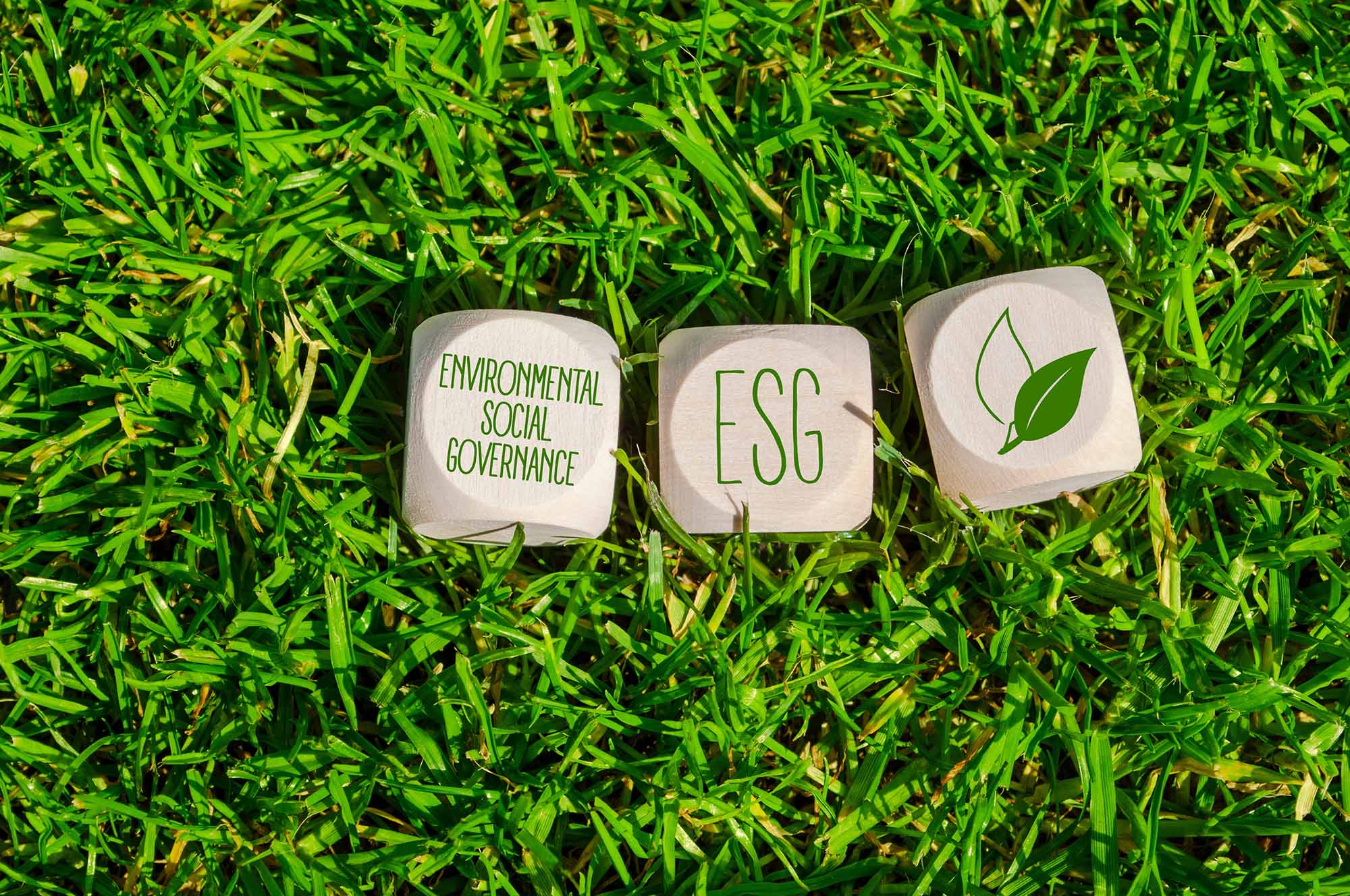 Trwa 3. edycja konkursu „Liderzy ESG” – zachęcamy do zgłoszeń