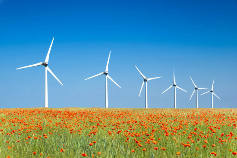 Mieszkańcy powinni czerpać korzyści z elektrowni wiatrowych [+MP3]