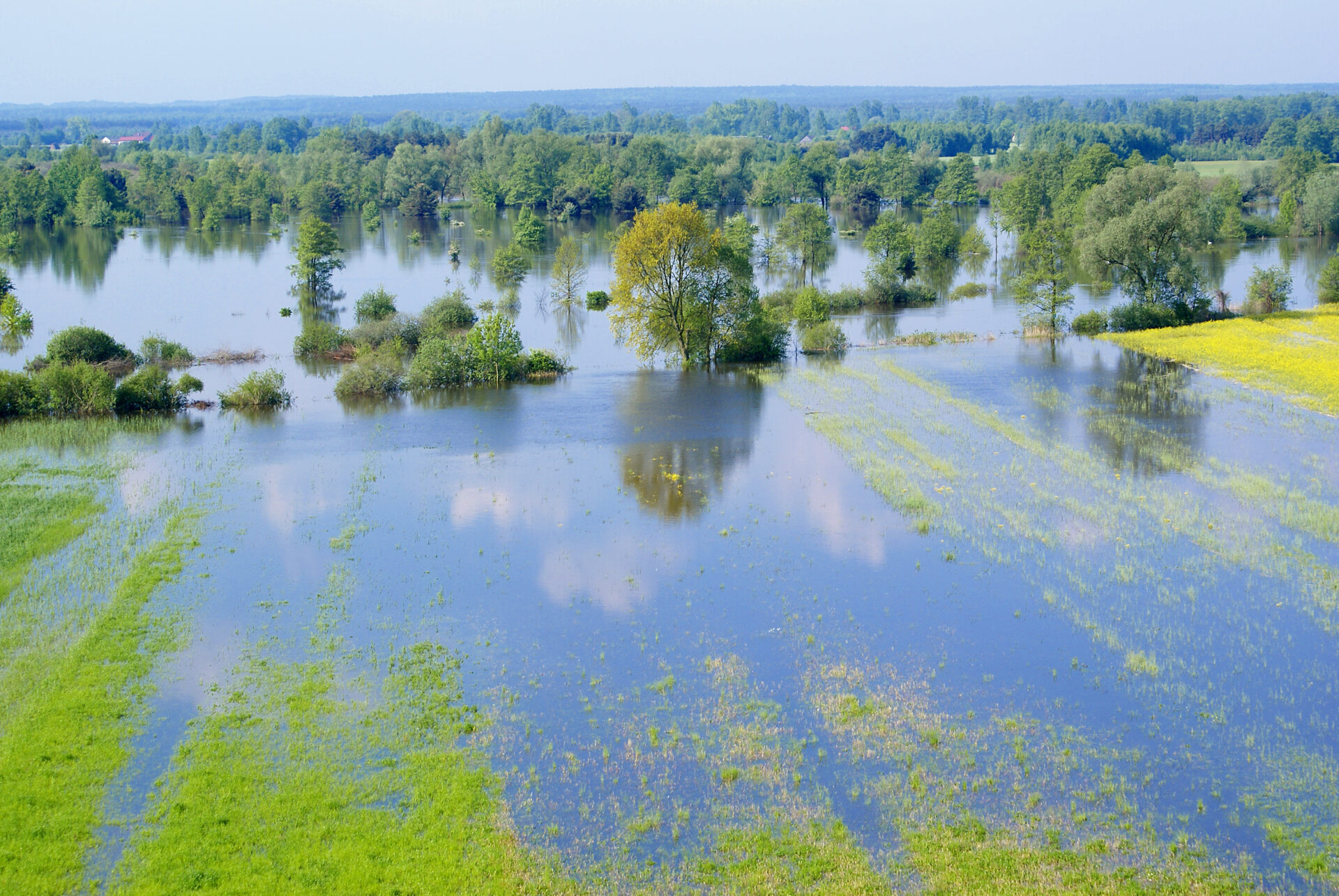 Przedsiębiorcy pomagają powodzianom. Apel o wpłaty dla poszkodowanych